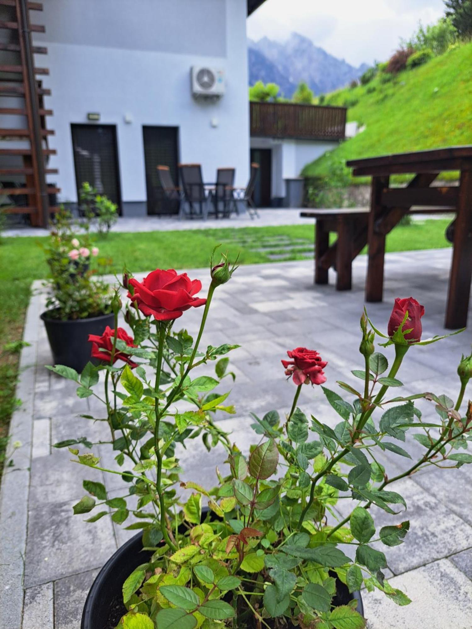 Reset Apartments Kranjska Gora Exterior photo